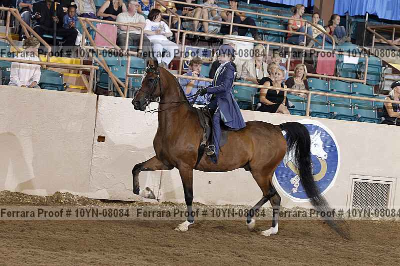 Proof 10yn-08084