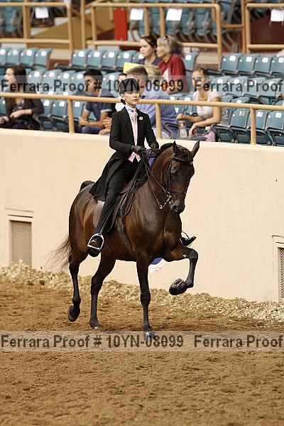 Proof 10yn-08099