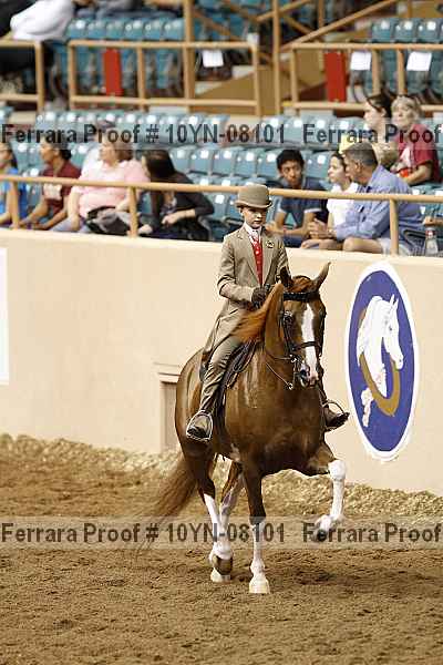 Proof 10yn-08101
