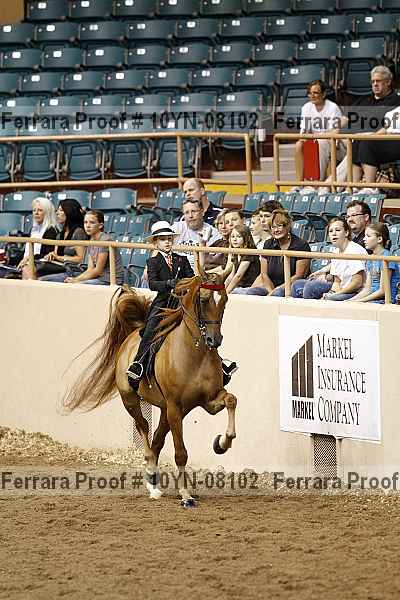 Proof 10yn-08102
