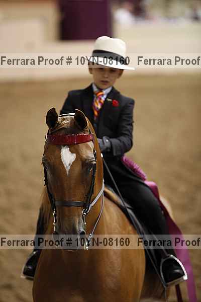 Proof 10yn-08160