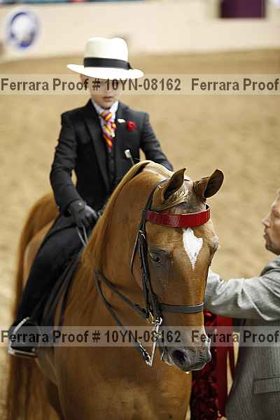 Proof 10yn-08162