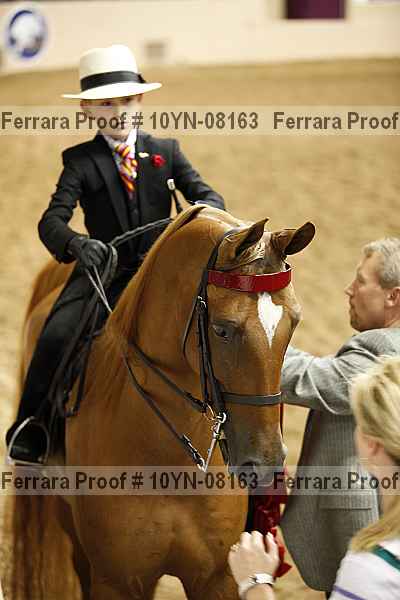 Proof 10yn-08163