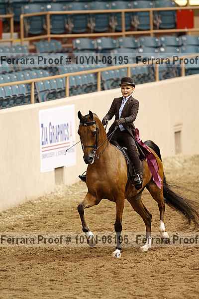 Proof 10yn-08195