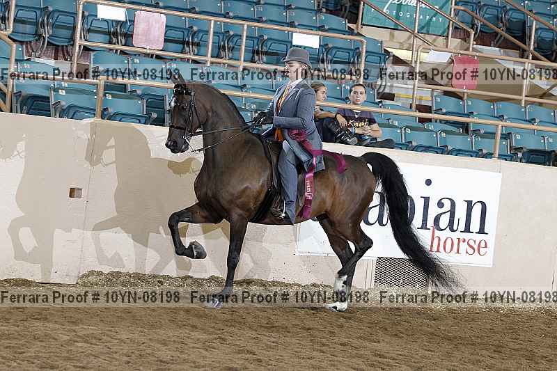 Proof 10yn-08198