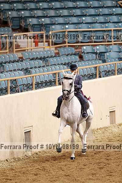 Proof 10yn-08199