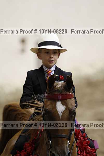 Proof 10yn-08228