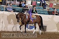 10yn-06195 proof