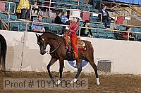 10yn-06196 proof