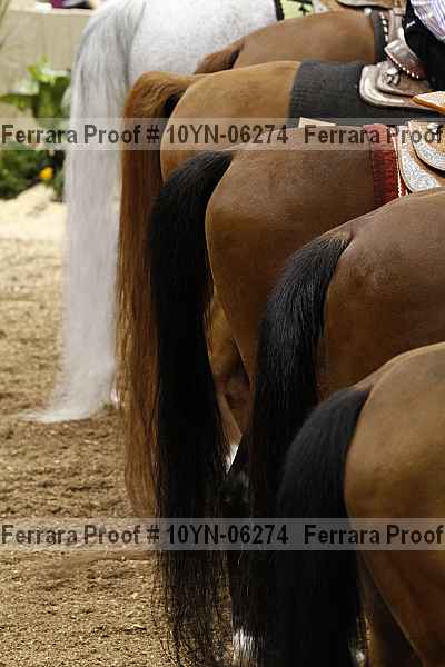 Proof 10yn-06274