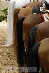 10yn-06274 proof