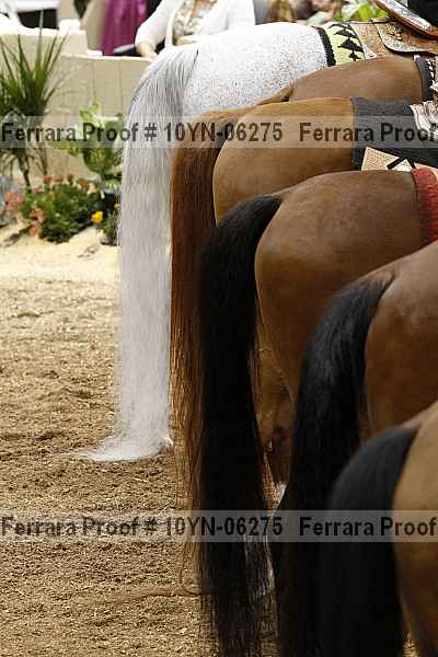 Proof 10yn-06275