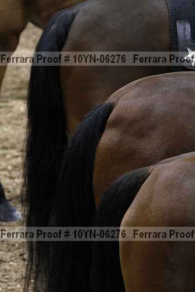 Proof 10yn-06276