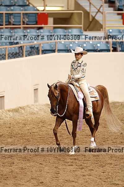 Proof 10yn-06309