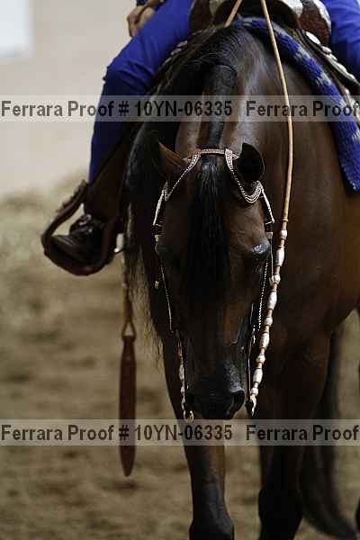 Proof 10yn-06335