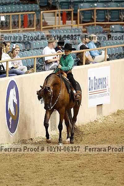 Proof 10yn-06337