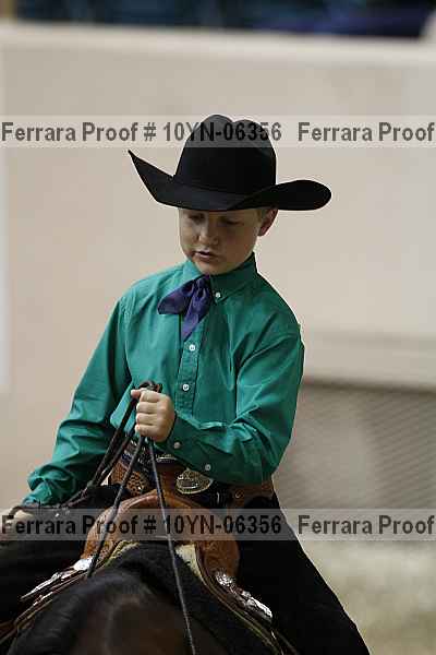 Proof 10yn-06356