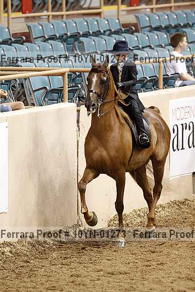 Proof 10yn-01273