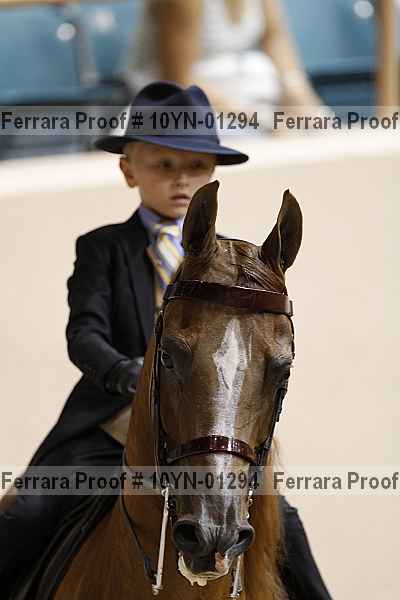 Proof 10yn-01294
