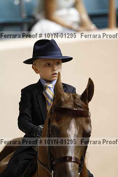 Proof 10yn-01295