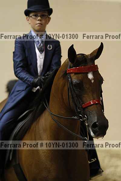 Proof 10yn-01300