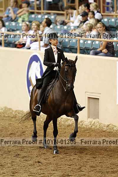 Proof 10yn-01306
