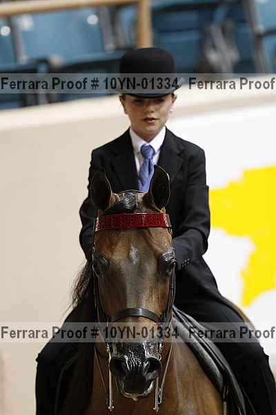 Proof 10yn-01334