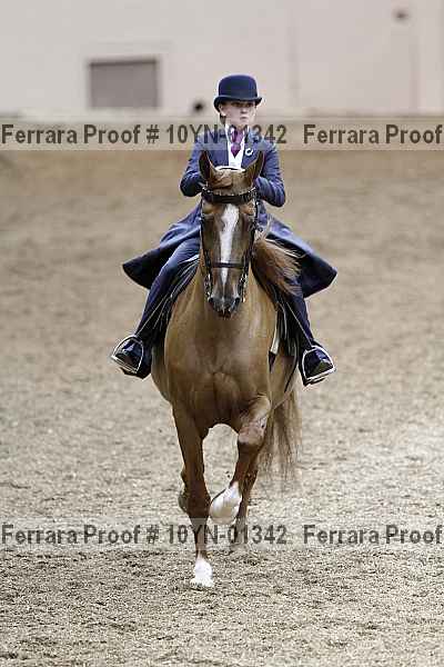 Proof 10yn-01342