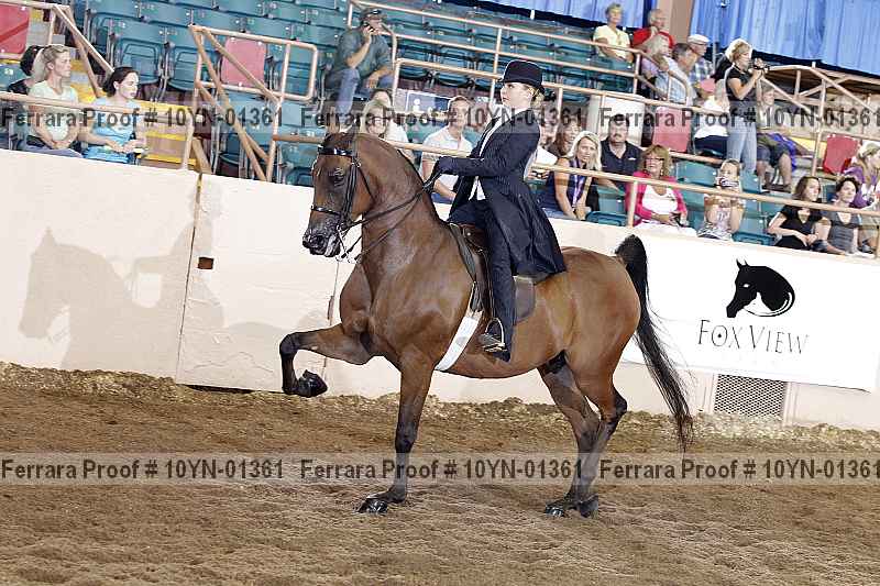 Proof 10yn-01361
