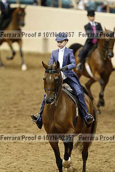 Proof 10yn-02357