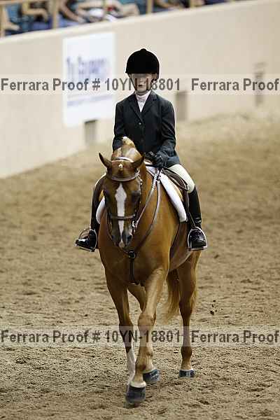Proof 10yn-18801