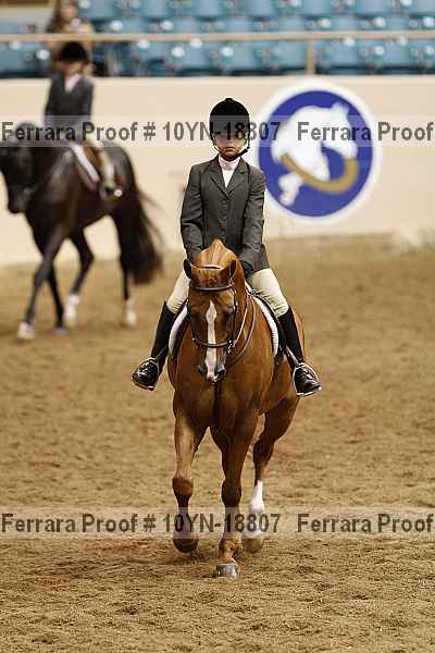 Proof 10yn-18807