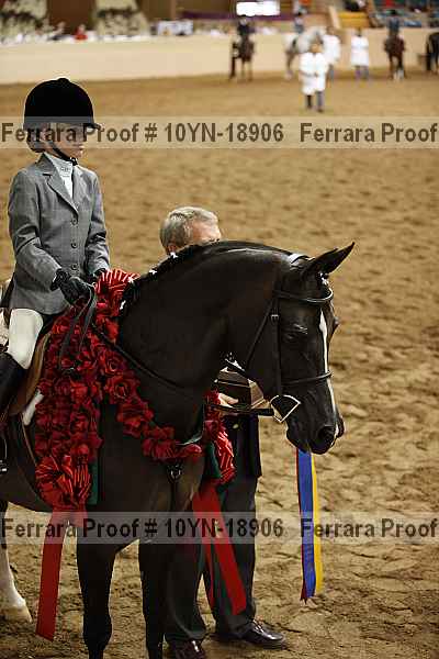 Proof 10yn-18906