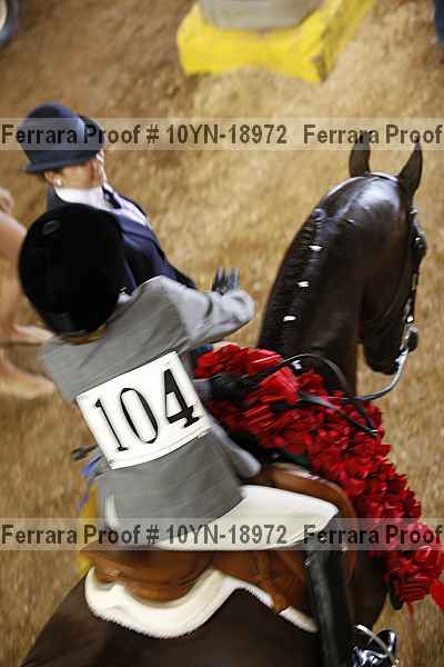 Proof 10yn-18972