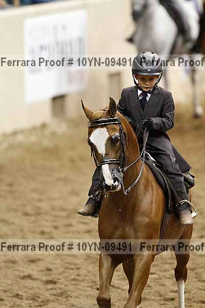 Proof 10yn-09491