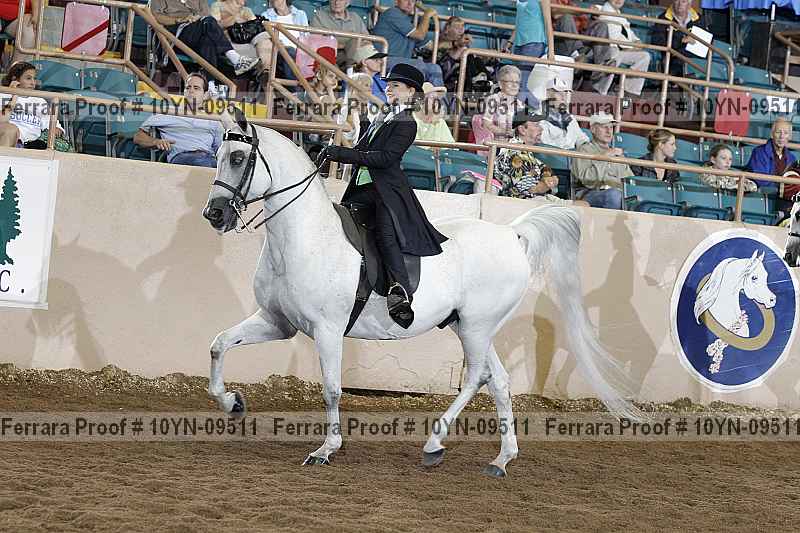 Proof 10yn-09511