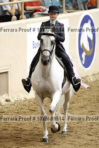 Proof 10yn-09514