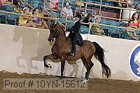 10yn-15612 proof