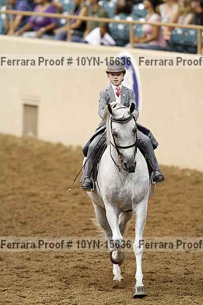 Proof 10yn-15636