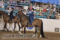 10yn-12927 proof