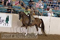 10yn-12928 proof