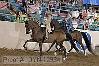 10yn-12934 proof