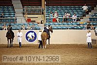 10yn-12968 proof