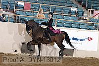 10yn-13012 proof