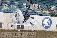 10yn-13022 proof