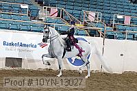 10yn-13027 proof