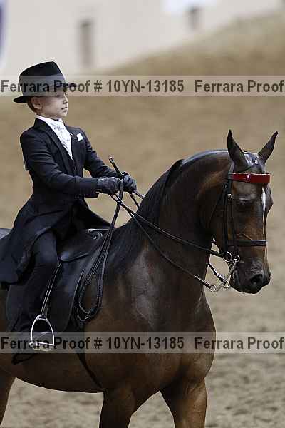 Proof 10yn-13185