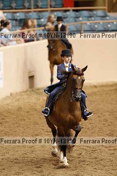 Proof 10yn-13190
