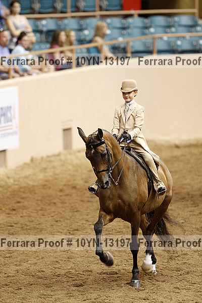 Proof 10yn-13197