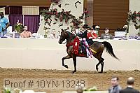 10yn-13248 proof